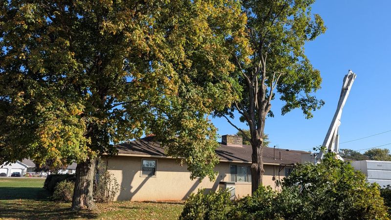 A bucket truck boom reaching over a house roof toward a tree in fall color.