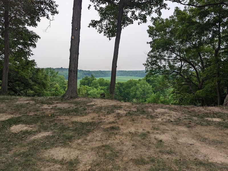 A cleared hillside with the brush gone, open to a view of the fields beyond.