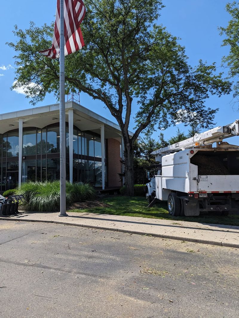 A bucket truck with a chip box parked on the lawn beside a large shade tree, in front of a glass-front business building with a flag flying.