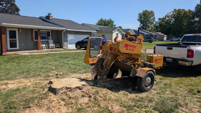 A yellow stump grinder working on a stump in a front yard, with a pickup and house behind it.